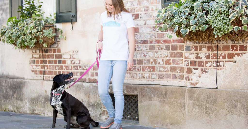Trusted pet care