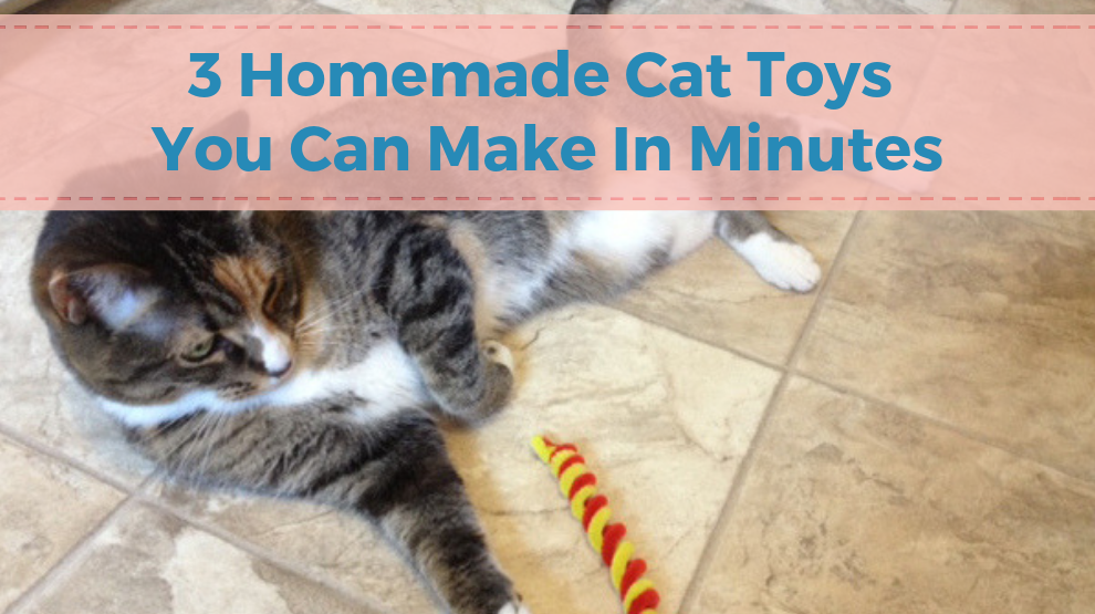 3 Homemade Cat Toys You Can Make In Minutes