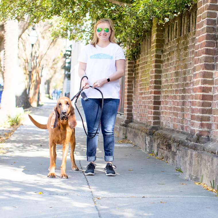 Jobs Charleston Dog Walker