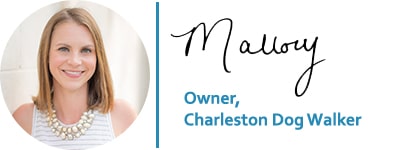 Mallory, Owner of Charleston Dog Walker