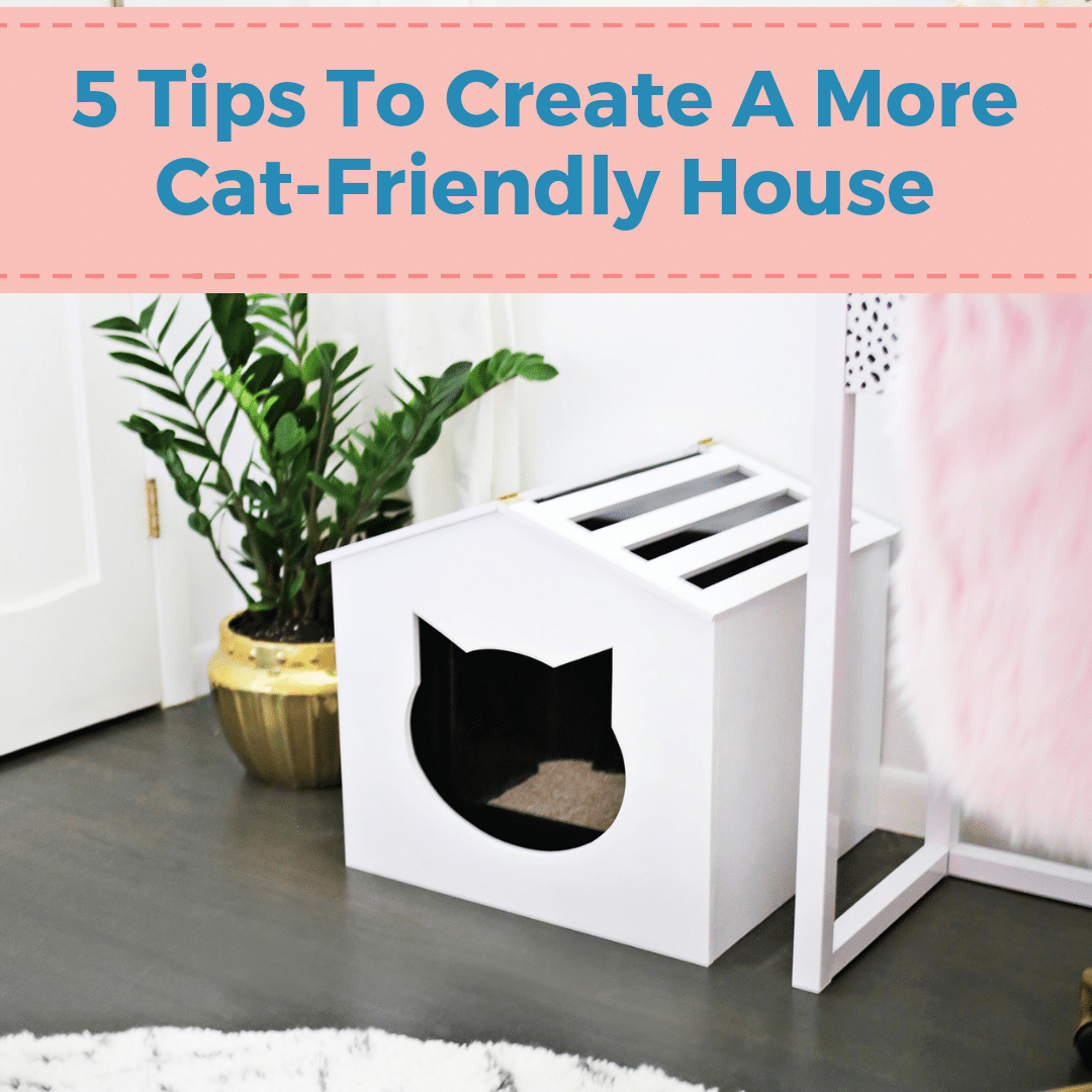 5 Tips To Create A More Cat-Friendly House