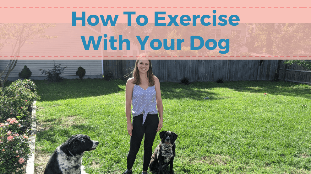 How To Exercise With Your Dog