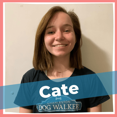 Staff Pics - Cate